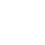 logo Zeppelin